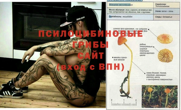 марки nbome Алексин