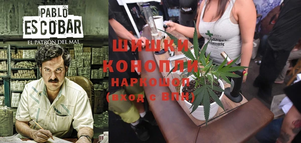 дурь Алексеевка