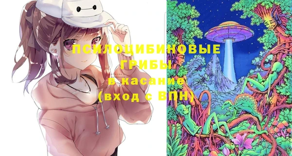дмт Надым